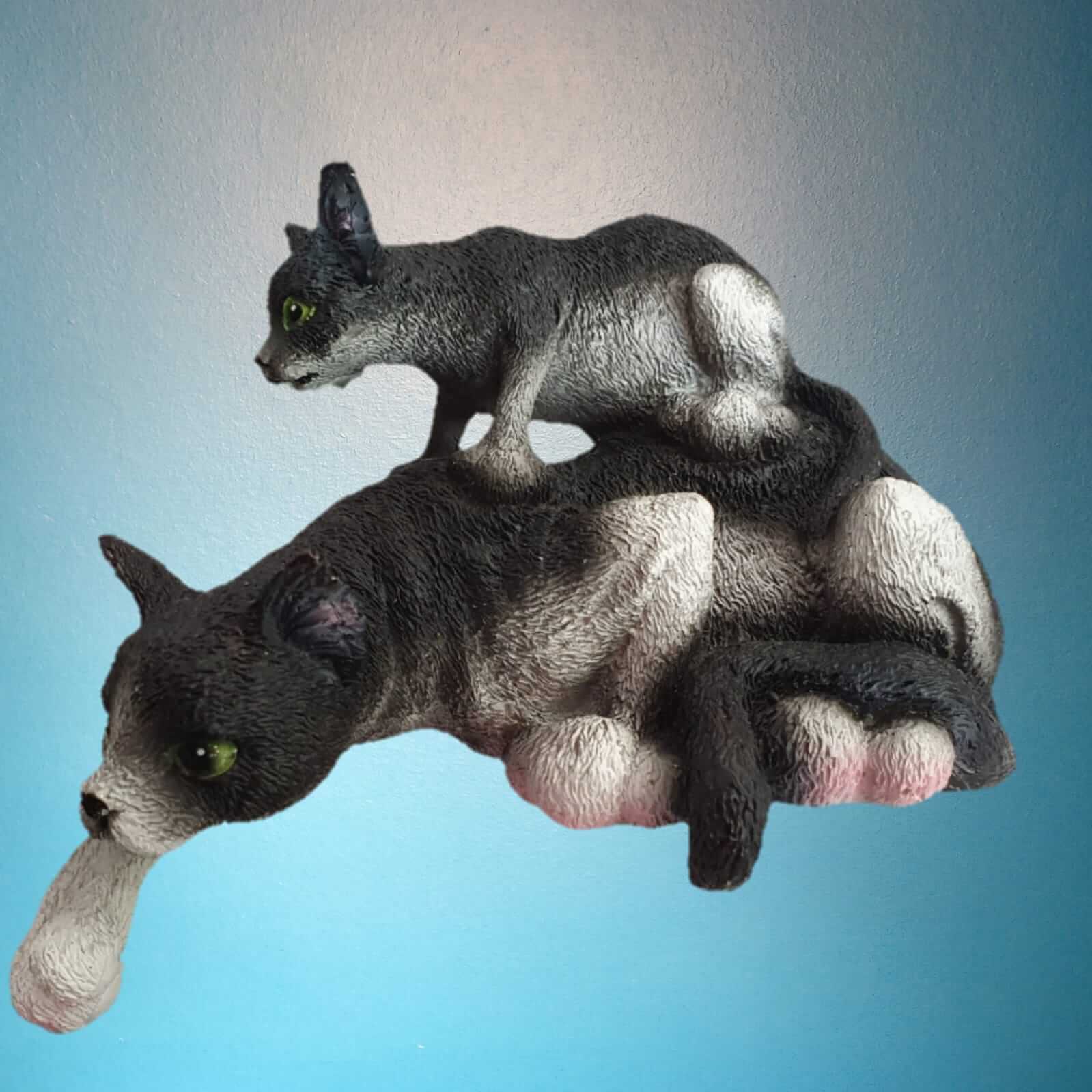 Katze mit Kätzchen auf dem Rücken