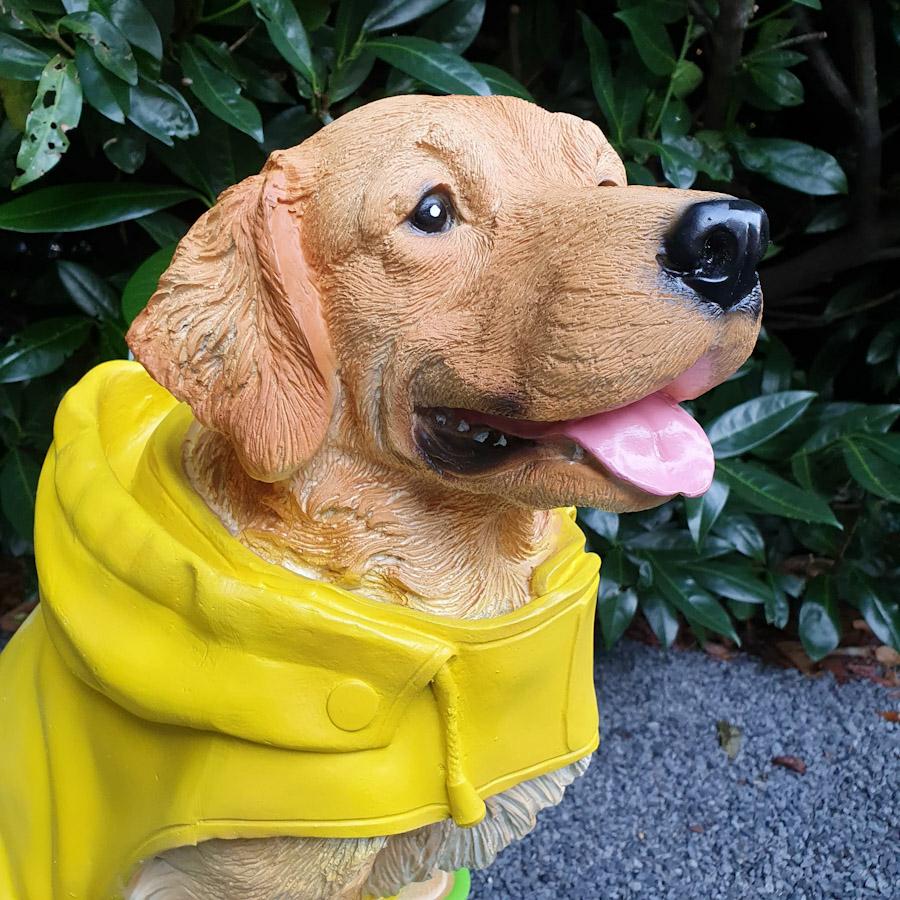 Heller Labrador in Gelben Mantel und Grünen Schuhen als Gartenfigur Nahaufnahme