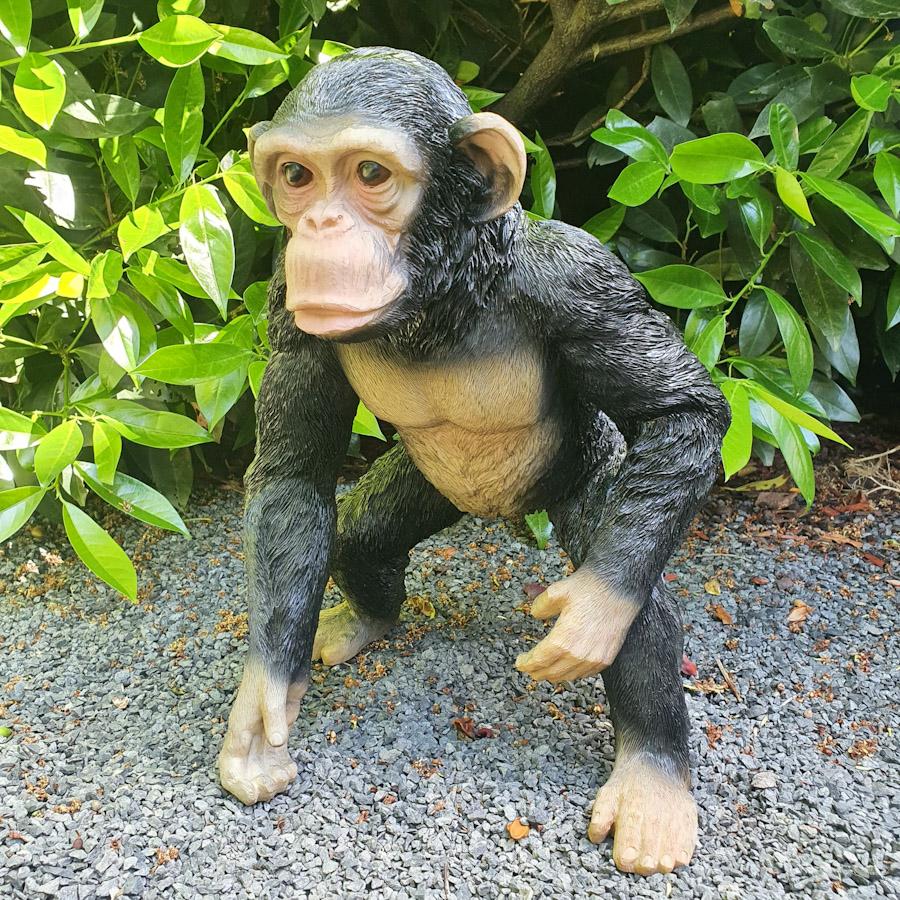 Schimpanse Stehend als Gartenfigur