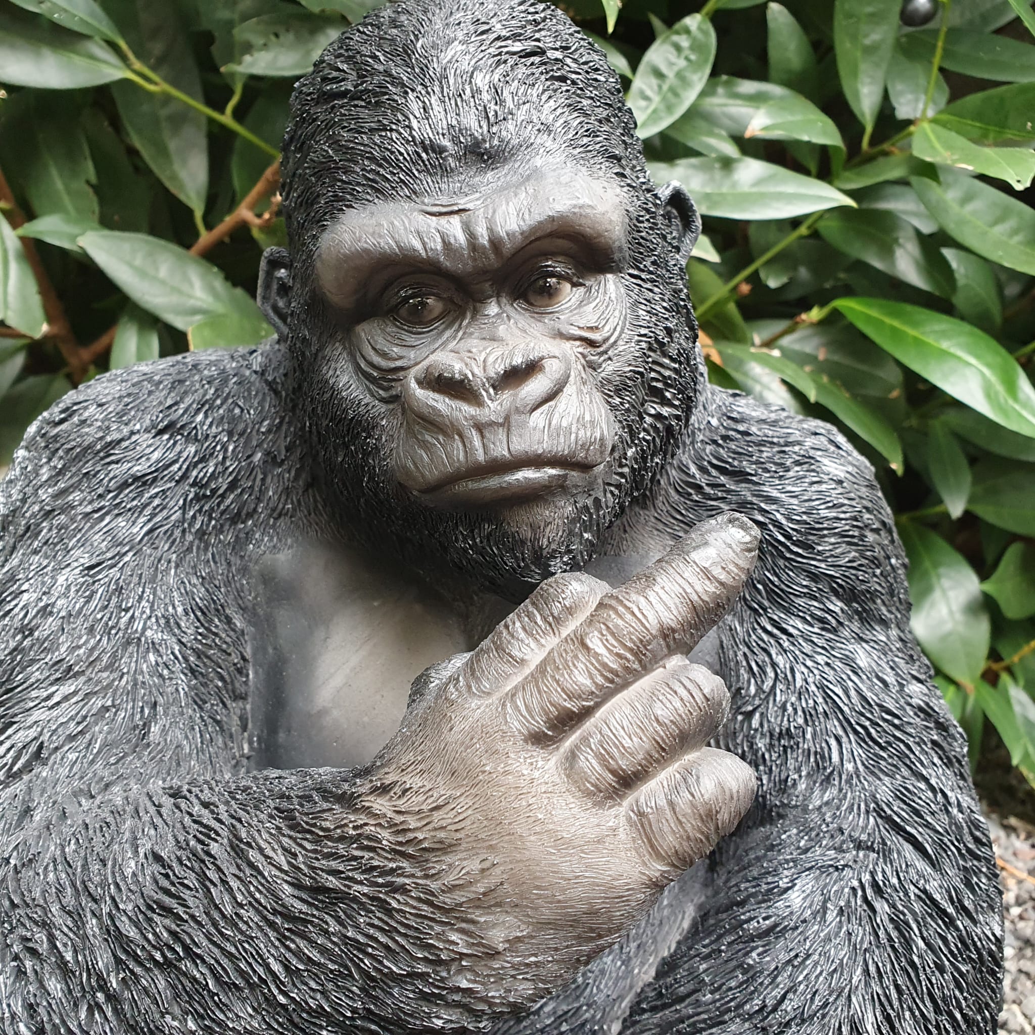 Gorilla zeigt Stinkefinger als Gartenfigur Nahaufnahme