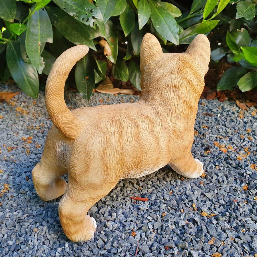 Orangene Baby Katze auf allen vieren als Gartenfigur von hinten