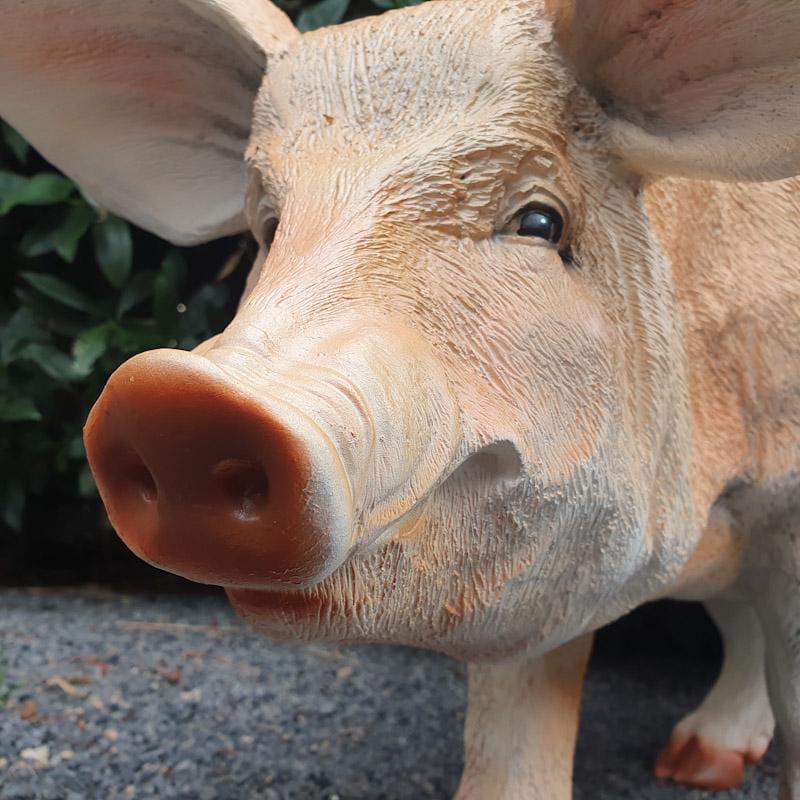 Große stehend Schweine Gartenfigur Nahaufnahme vom Kopf
