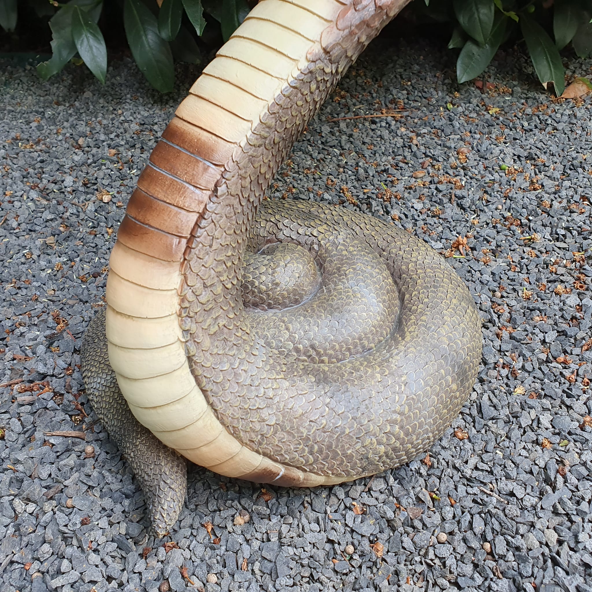 Kobra als Gartenfigur Nahaufnahme