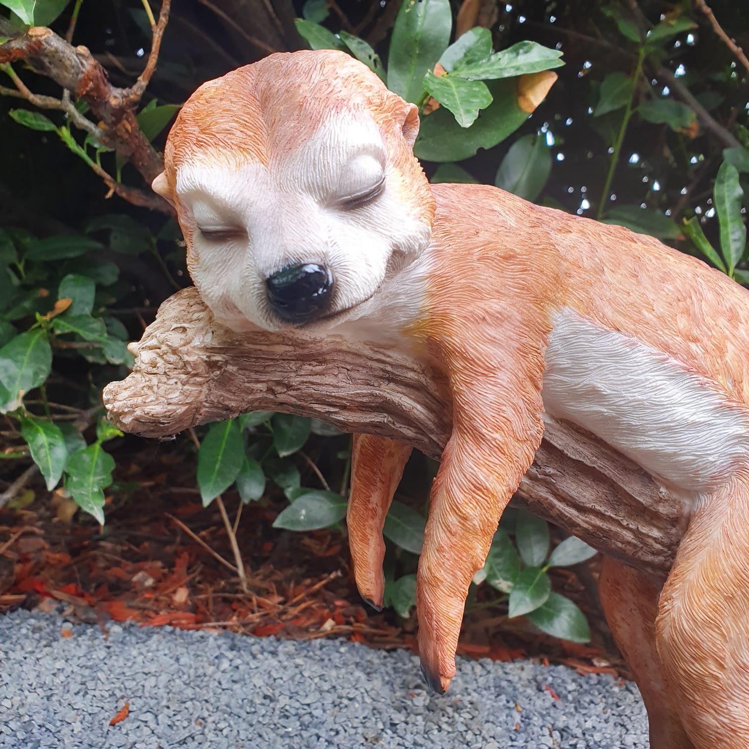 Gartenfigur schlafende Erdmännchen Figur auf Ast 23 cm