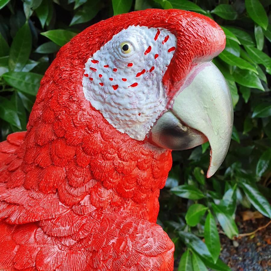 Großer Roter Papagei auf Ast als Gartenfigur Nahaufnahme vom Kopf