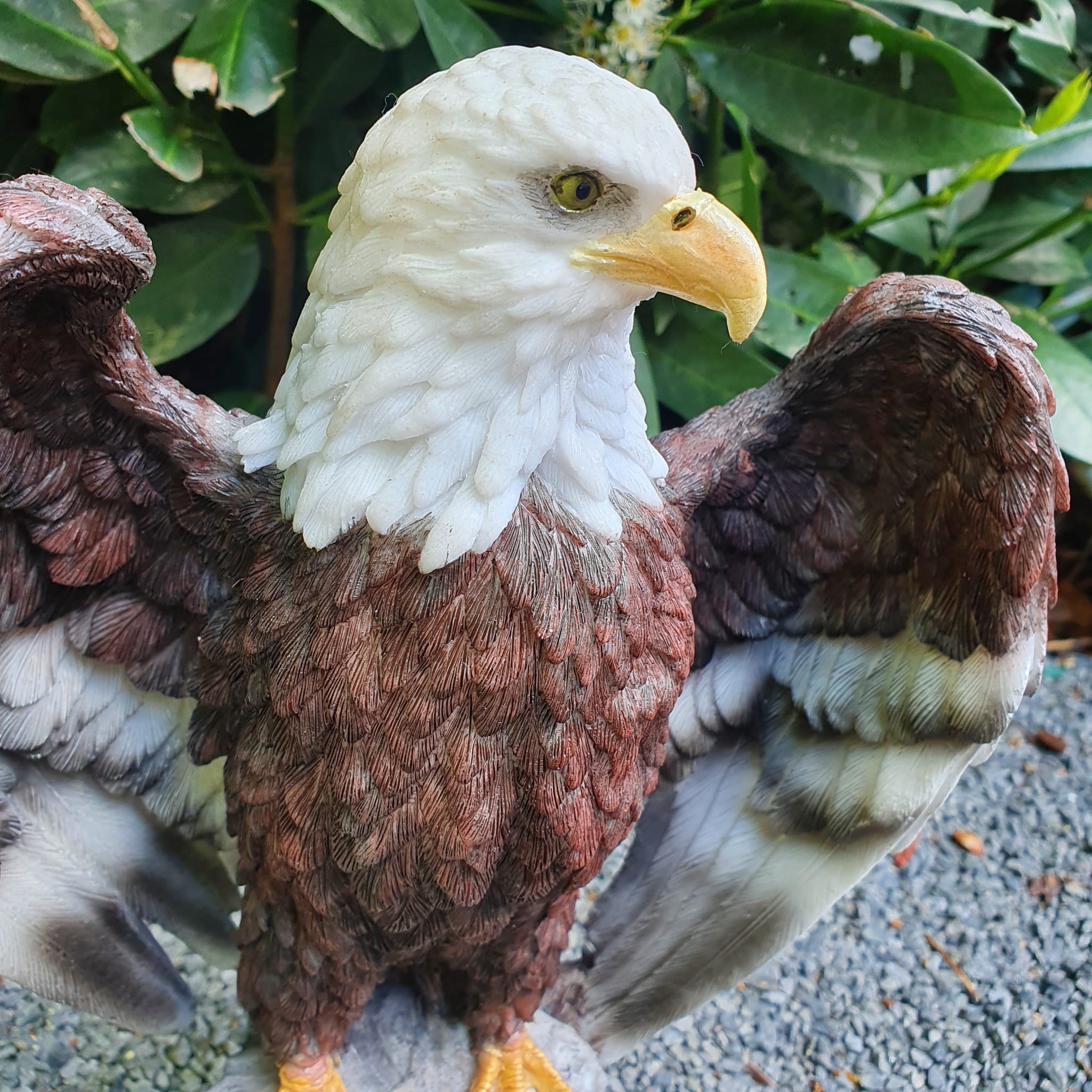Adler Gartenfigur Weißkopfseeadler Figuren mit offenen Flügel 33 cm