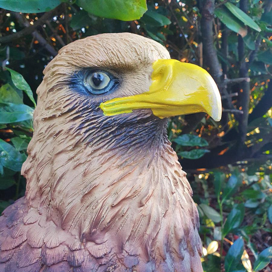 Großer Brauner Adler auf Ast als Gartenfigur Nahaufnahme vom Kopf