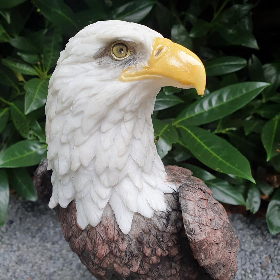 Adler auf Ast mit Weißem Kopf als Gartenfigur Nahaufnahme vom Kopf