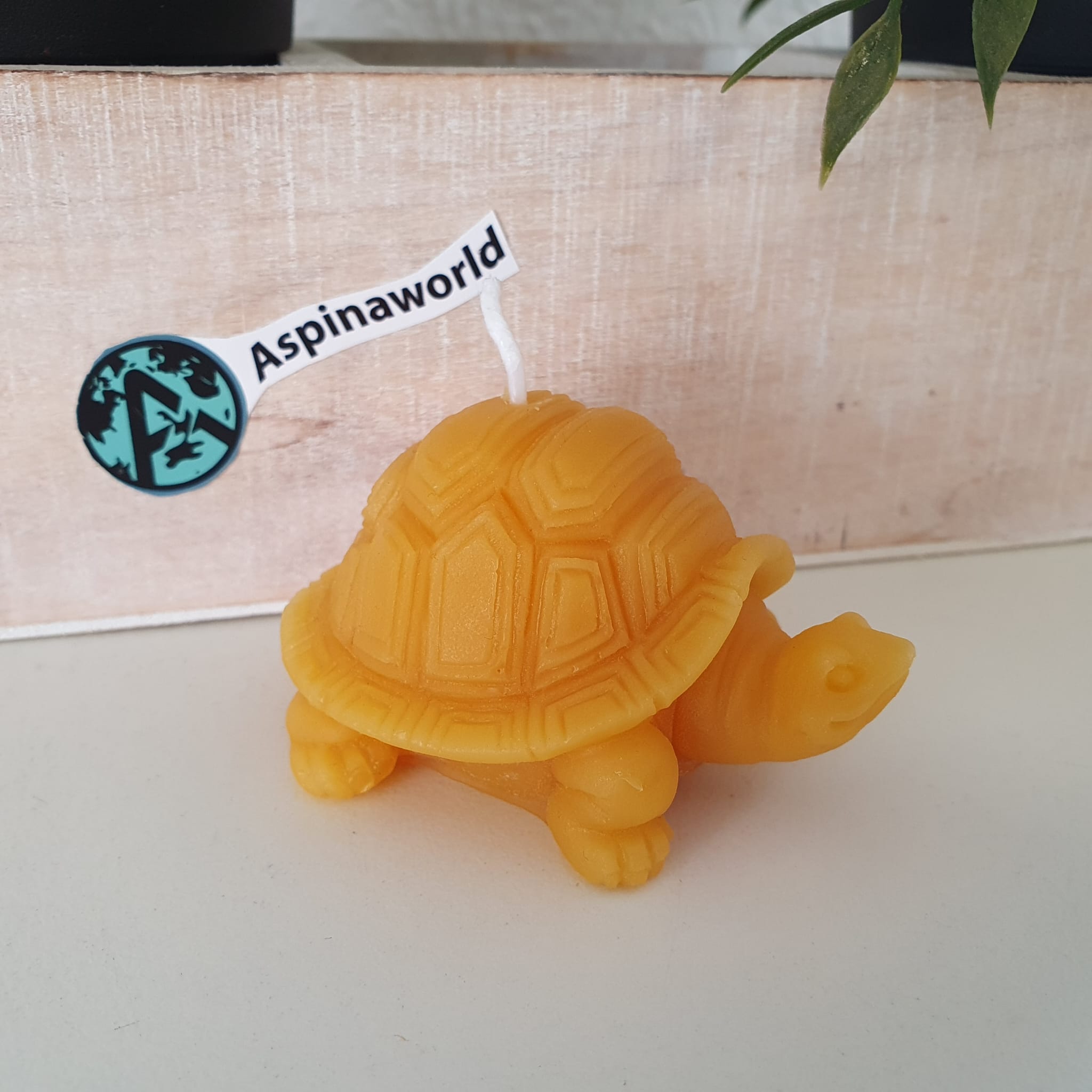 Schildkröten Kerze 4 cm 100% Bienenwachs