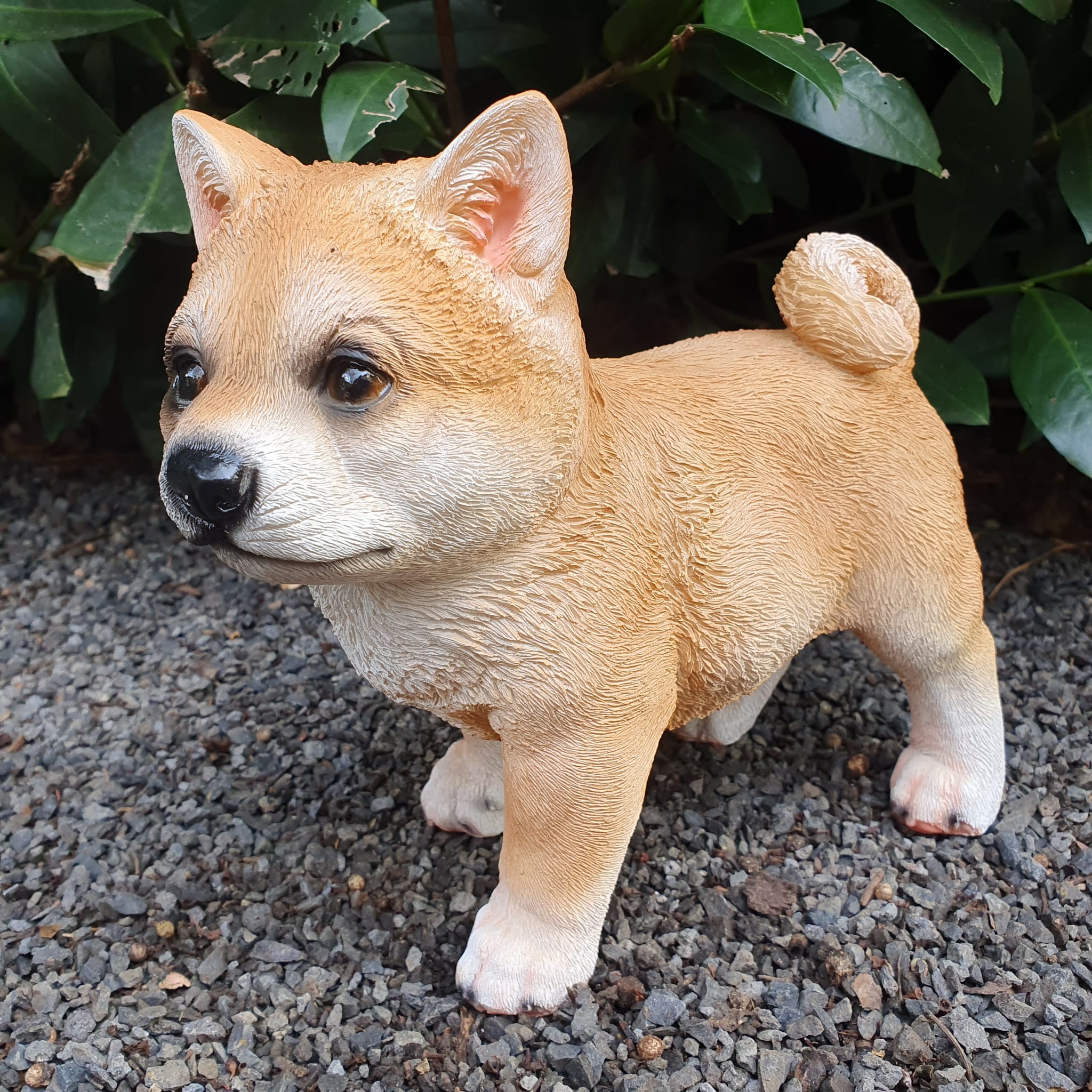 Gartenfigur Shiba Inu Hunde Figur steht 20 cm  