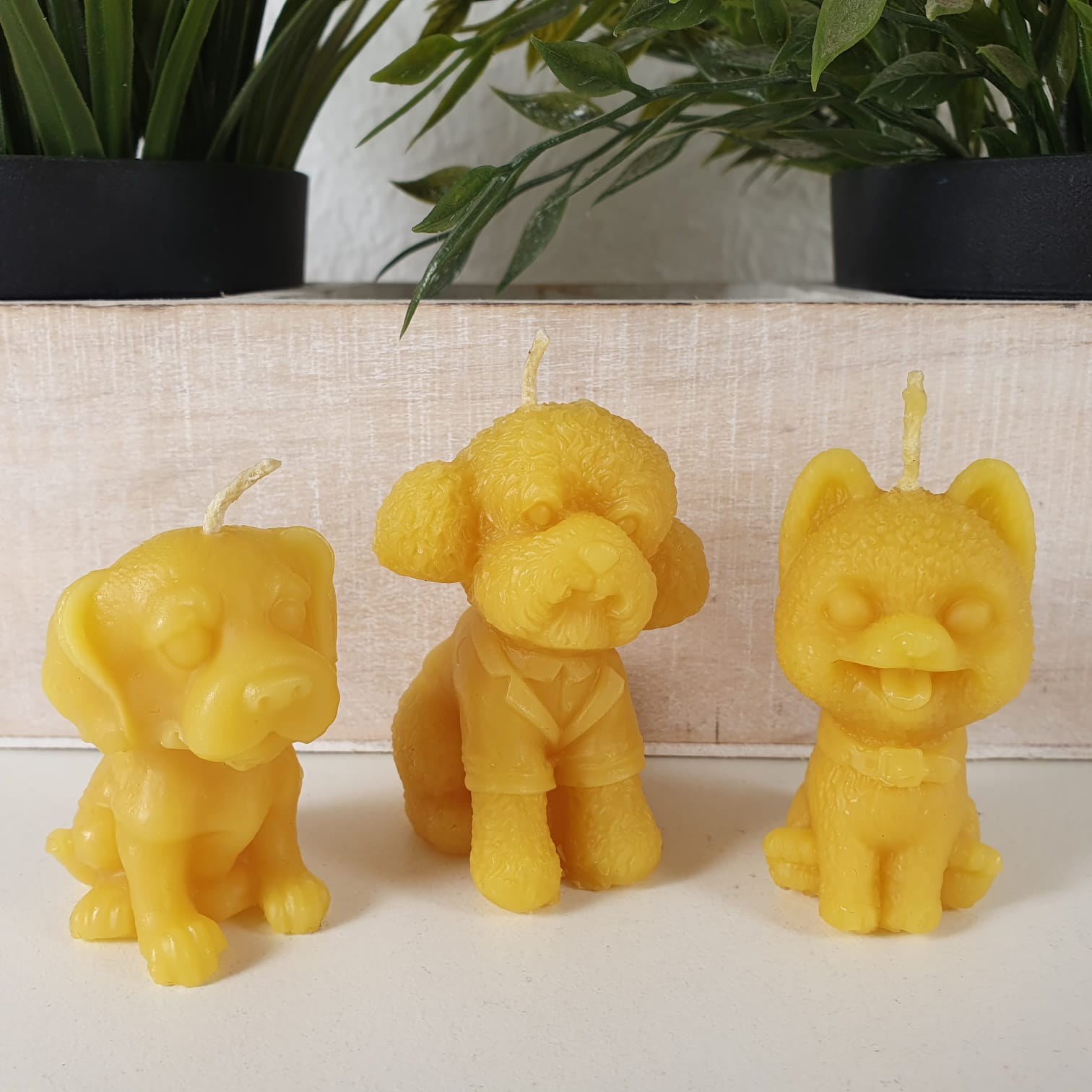 3 Kleine Hunde als Bienenwachskerze von Aspinaworld