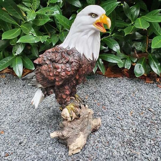 Adler Gartenfigur Weißkopfseeadler Figur mit offenem Schnabel 33 cm