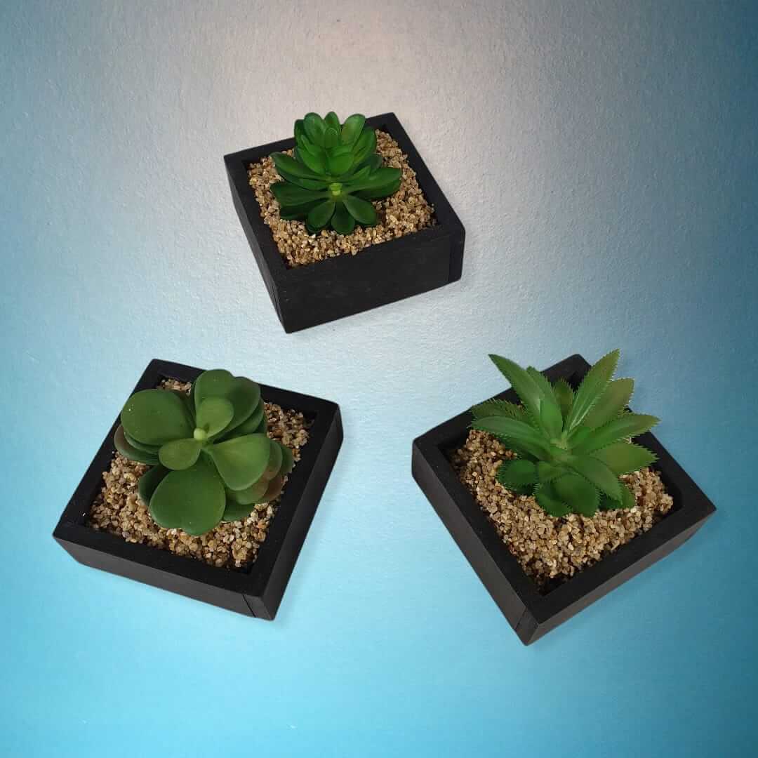 Deko künstliche Kaktus pflanzen im 3er Set