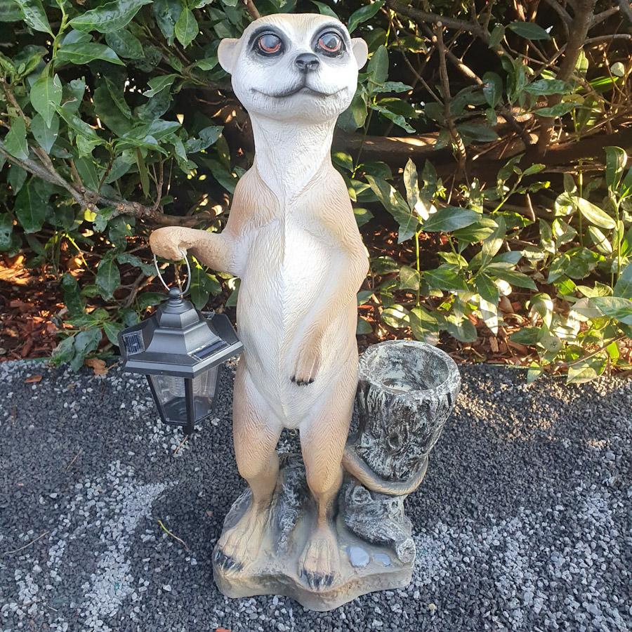 Große Erdmännchen Gartenfigur mit Topf und Laterne 