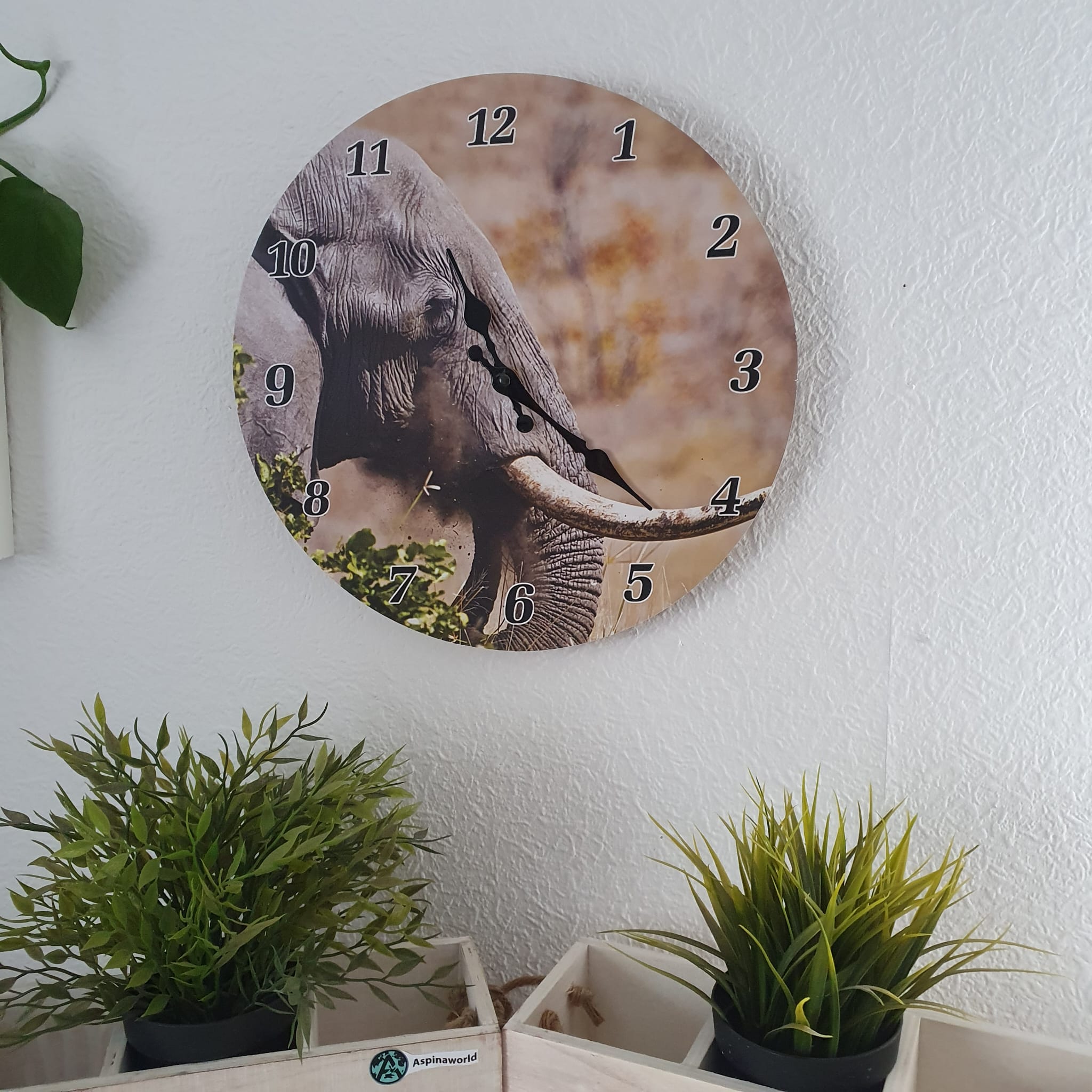 Wanduhr mit Elefantenkopf Ø 34 cm