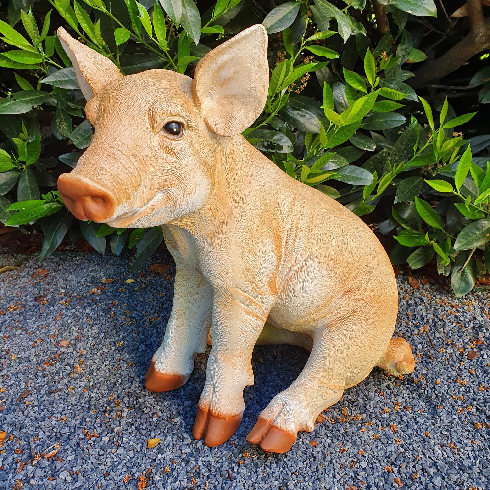 Gartenfigur sitzende Schweine Figur 46 cm 