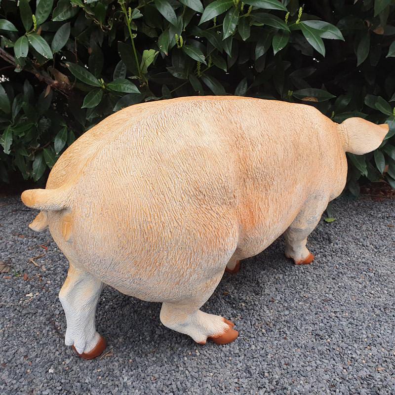 Große stehend Schweine Gartenfigur von hinten