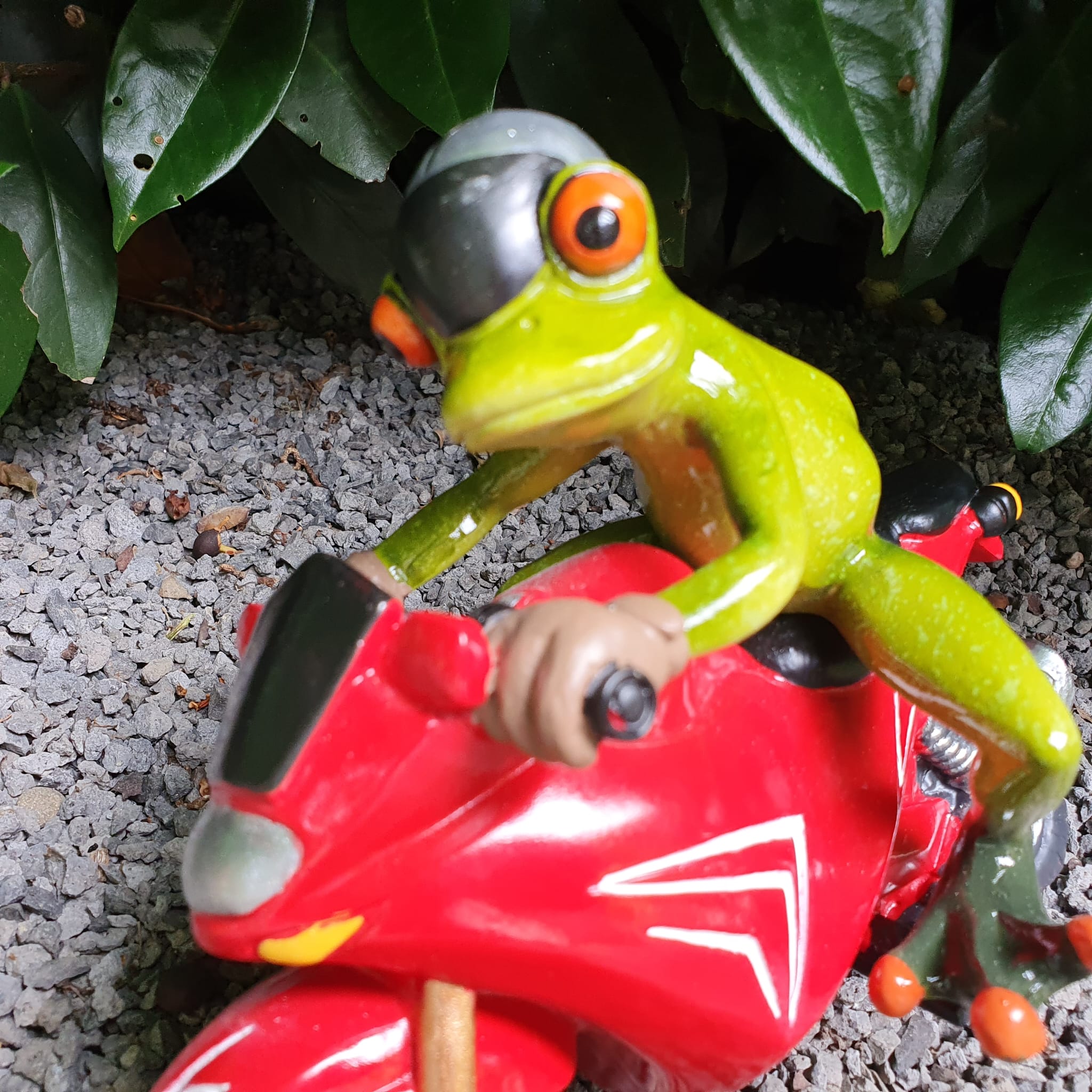 Frosch mit Motorrad Rot als Gartenfigur Nahaufnahme