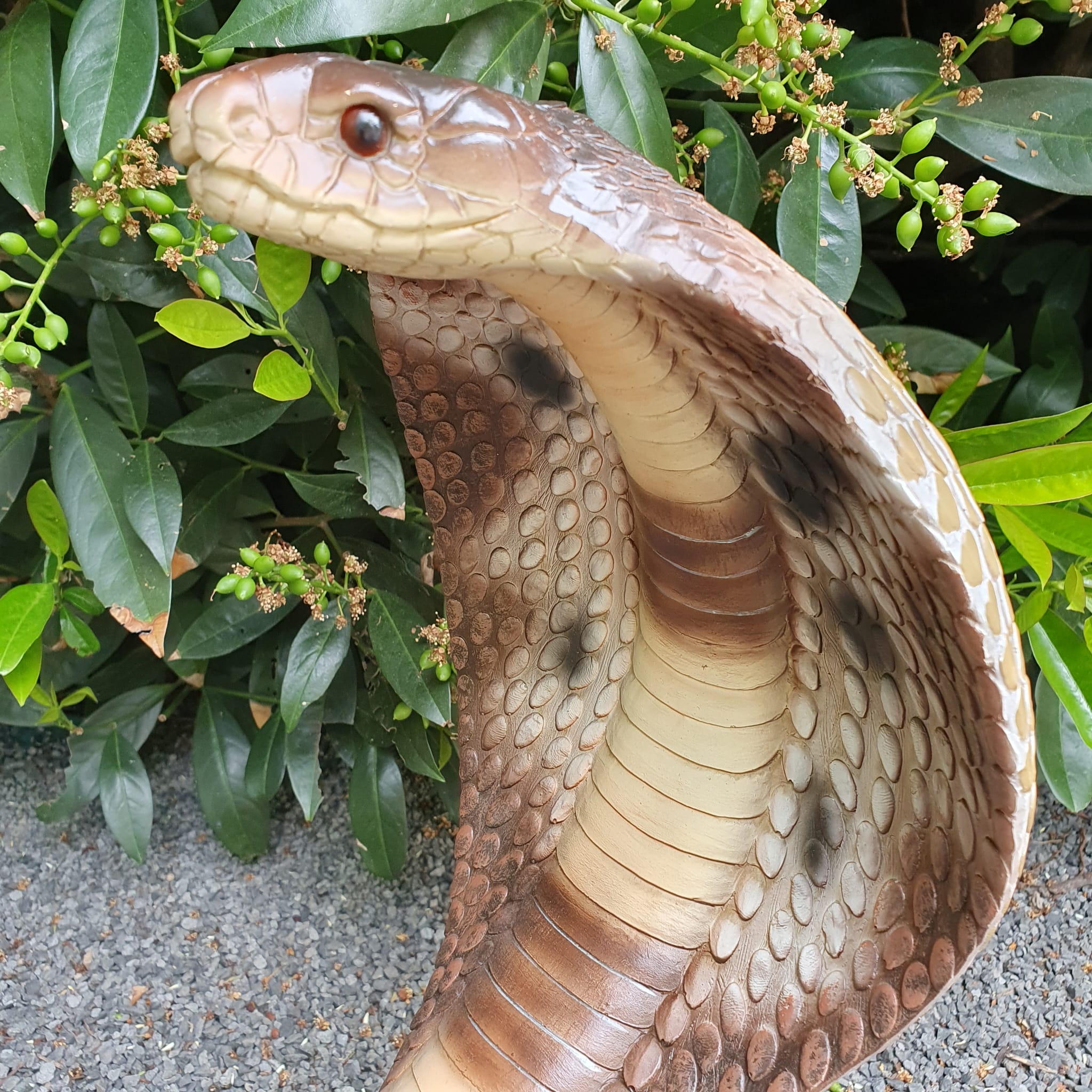 Kobra als Gartenfigur Nahaufnahme