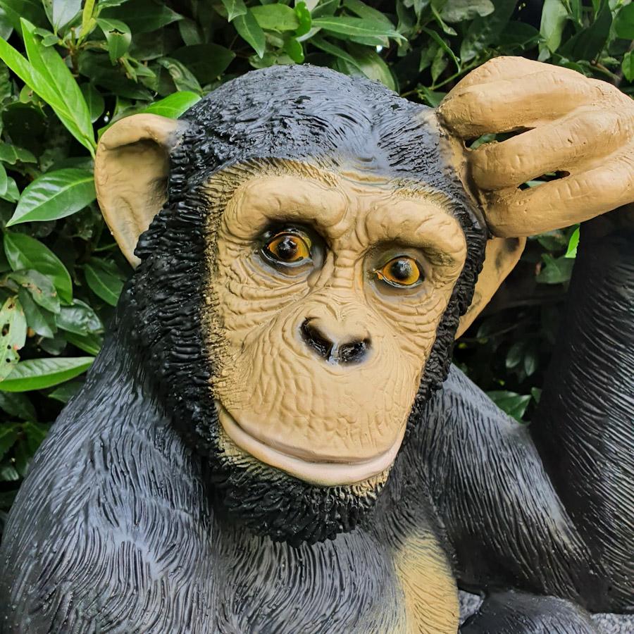 Grosser Shimpanse kratzt sich am Kopf als Gartenfigur Nahaufnahme 