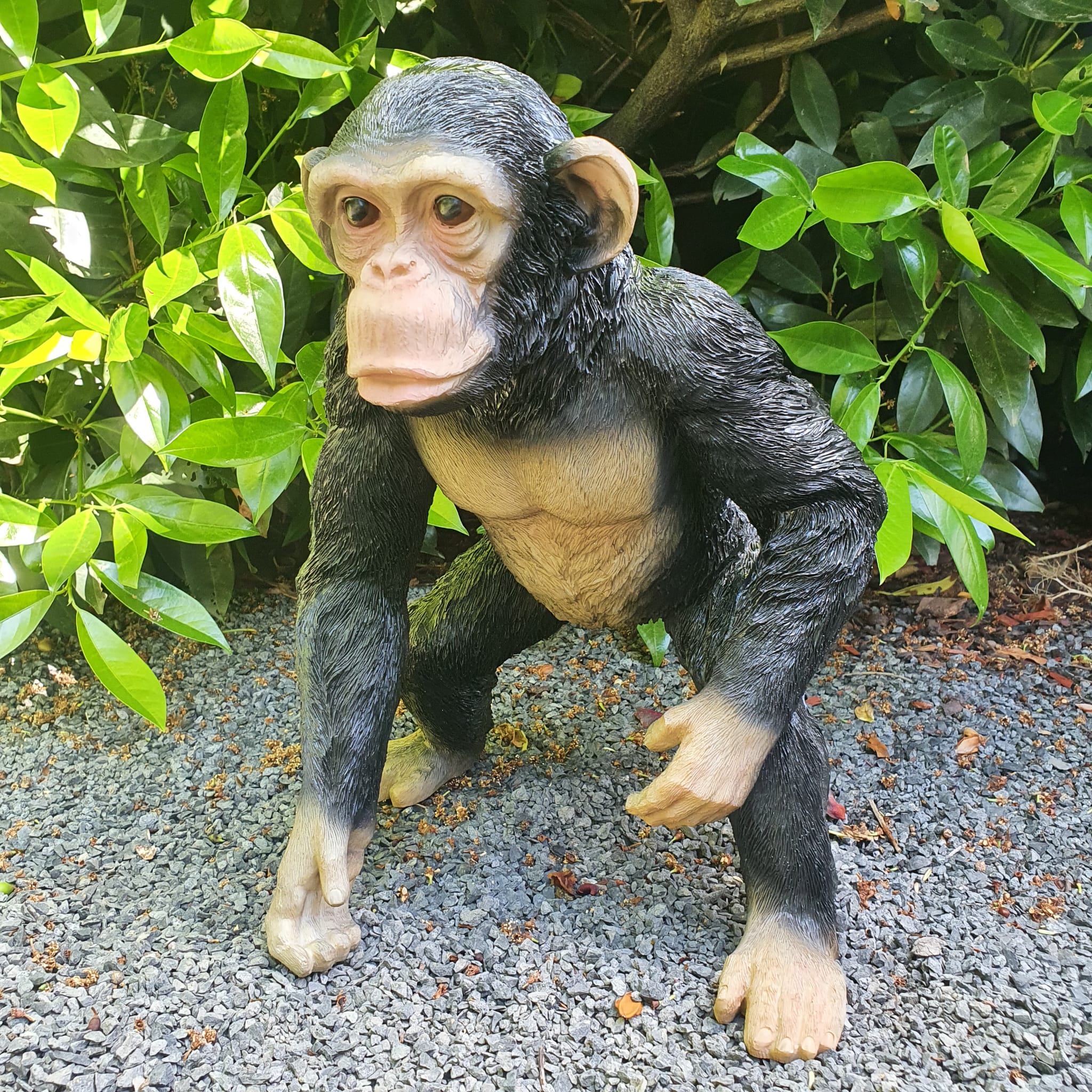 Gartenfigur stehende Schimpansen Figur 37 cm
