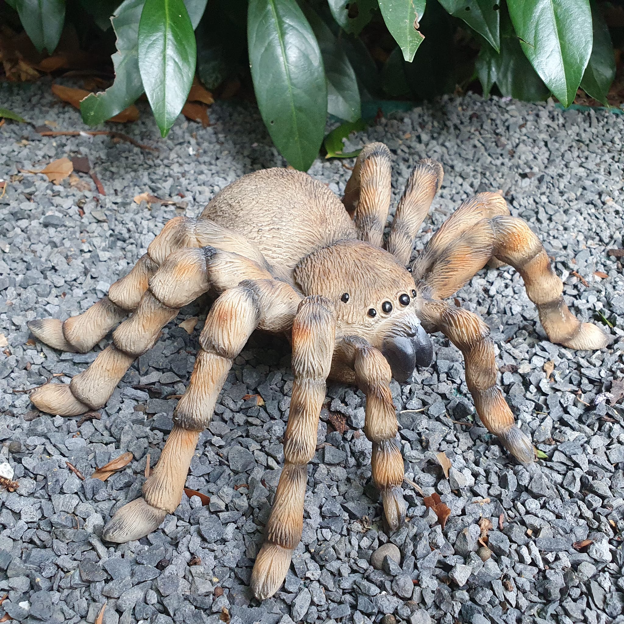 Gartenfigur Spinnen Figur Vogelspinne 26 cm breit 