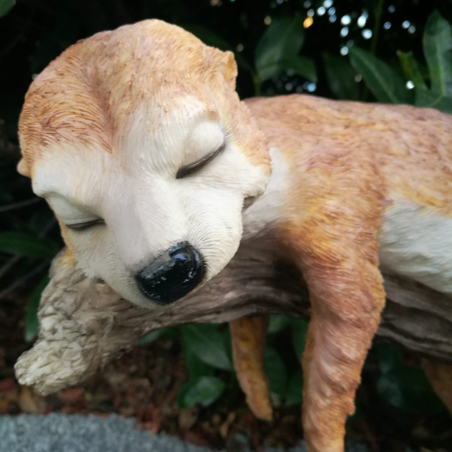 Gartenfigur schlafendes Erdmännchen Figur auf einem Ast 36 cm
