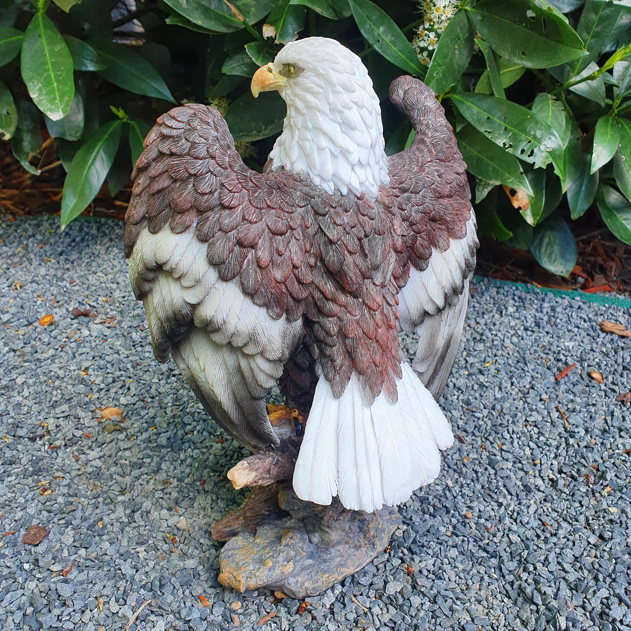 Adler Gartenfigur Weißkopfseeadler Figuren mit offenen Flügel 33 cm