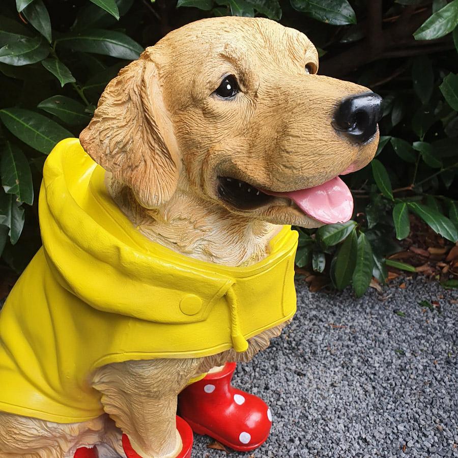Heller Labrador in Gelben Mantel und Roten Schuhen als Gartenfigur Nahaufnahme