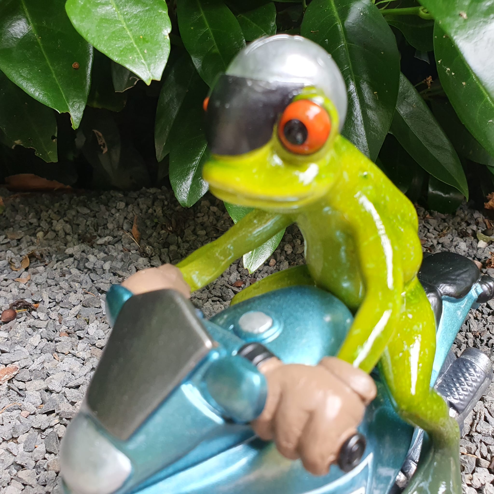 Frosch mit Motorrad Blau als Gartenfigur Nahaufnahme