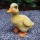 Gartenfigur gelbes Entchen 12 cm