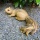 Gartenfigur Eichhörnchen Figur Wanddekoration 31 cm